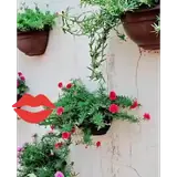 Figurinha para WhatsApp