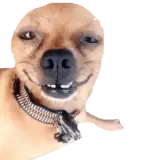 Sticker para WhatsApp