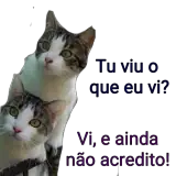 Figurinha para WhatsApp