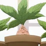 Figurinha para WhatsApp