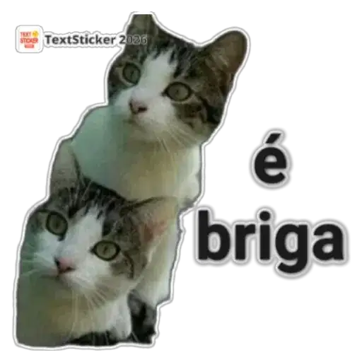 Coletadas sticker 24894