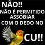 Figurinha para WhatsApp