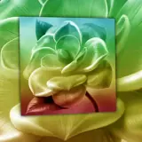 Figurinha para WhatsApp