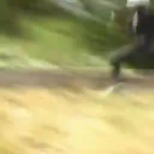 Figurinha para WhatsApp