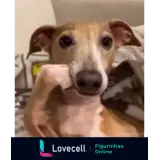 Figurinha para WhatsApp