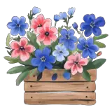 Sticker para WhatsApp