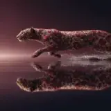 Figurinha de Animais para WhatsApp