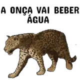 Figurinha de Memes Brasileiros para WhatsApp
