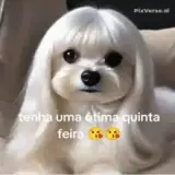 Figurinha para WhatsApp
