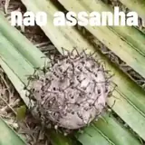 Figurinha de Engraçados para WhatsApp