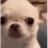 Figurinha para WhatsApp