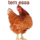 Figurinha para WhatsApp