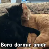 Figurinha de Animais para WhatsApp