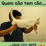 Memes Brasileiros WhatsApp sticker