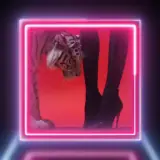 Figurinha para WhatsApp