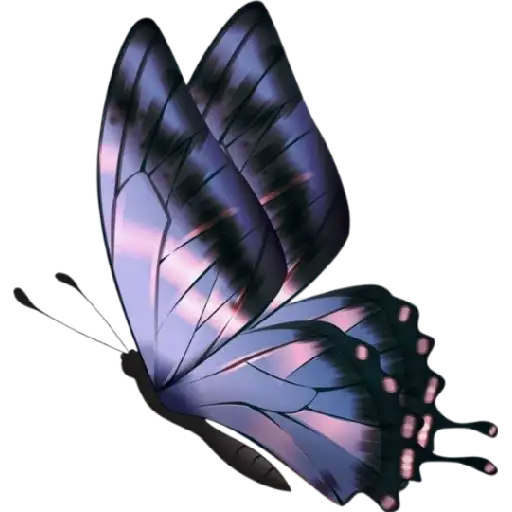 Coletadas sticker 19304