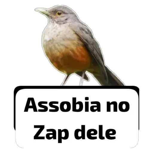 Coletadas sticker 29798