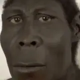 Figurinha de reação para WhatsApp