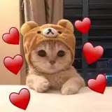 Figurinha para WhatsApp