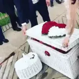 Figurinha de Memes para WhatsApp