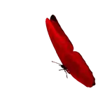 Sticker de Animais para WhatsApp