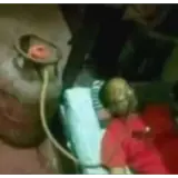 Figurinha de reação para WhatsApp