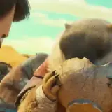 Figurinha de Animais para WhatsApp