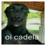 Figurinha de Cachorros para WhatsApp