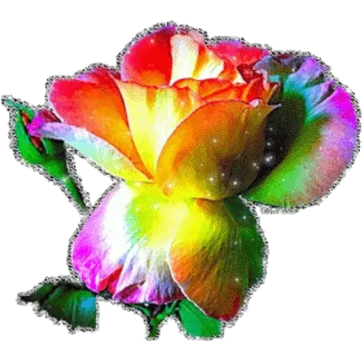 Coletadas sticker 31889