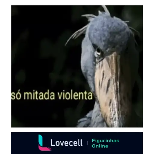 Coletadas sticker 33725