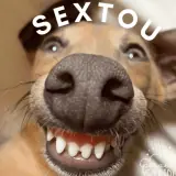 Figurinha de Cachorros para WhatsApp