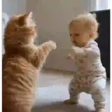 Figurinha de Animais para WhatsApp