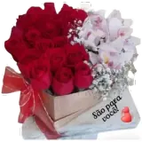 Figurinha de Amor para WhatsApp