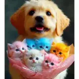 Figurinha de Animais para WhatsApp