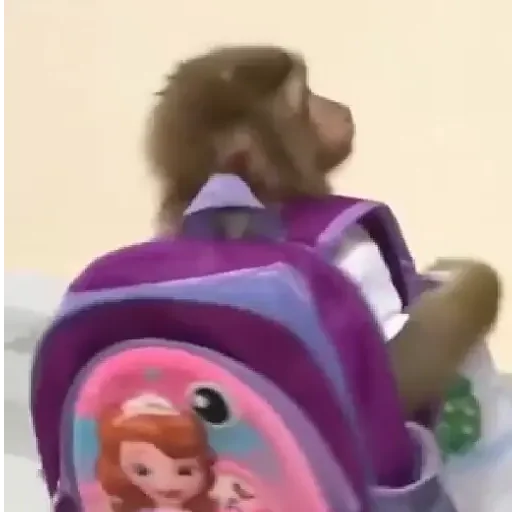 Figurinha para WhatsApp — Animais