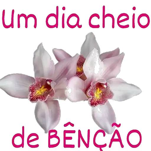 Coletadas sticker 467