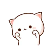 Gatos WhatsApp sticker