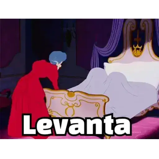 Coletadas sticker 778