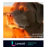 Sticker para WhatsApp