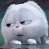 reação WhatsApp sticker