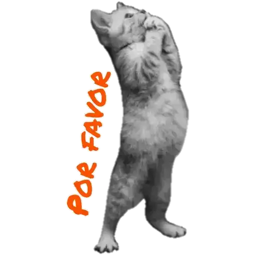 Coletadas sticker 24244
