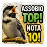 WhatsApp sticker