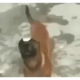 Sticker para WhatsApp