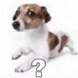 Figurinha de Cachorros para WhatsApp