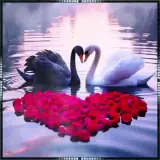 Figurinha para WhatsApp