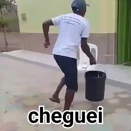 Coletadas sticker 147