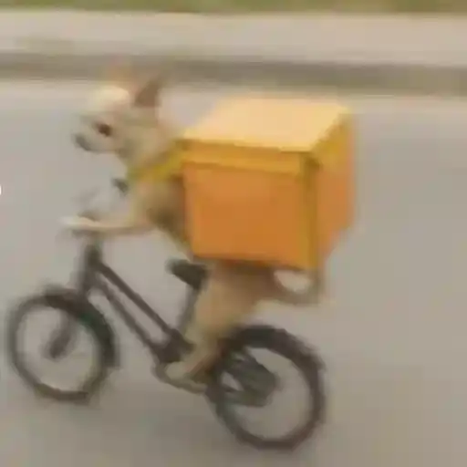 Coletadas sticker 420