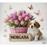 Figurinha de Animais para WhatsApp