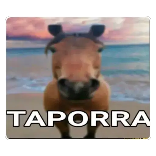 Coletadas sticker 3758