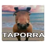 Figurinha de Memes para WhatsApp